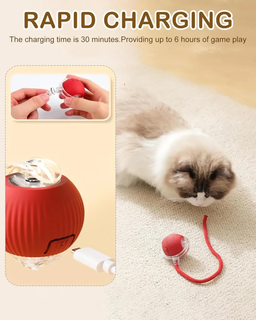 Best Toys for Bored Pets- best toy